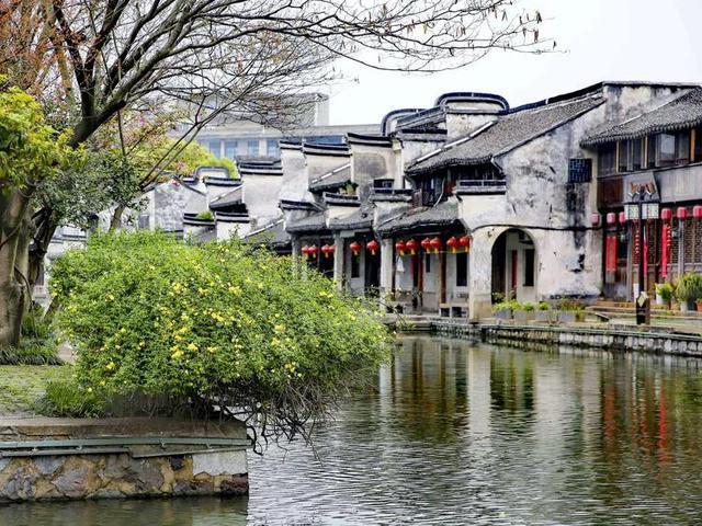 “尧治河杯”森林康养全国诗词大赛启动